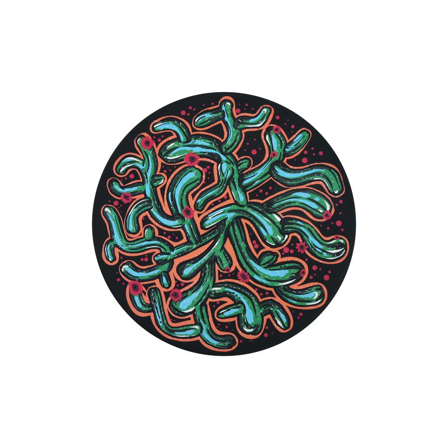 Waboba Wingman – Artist Series – Cactus