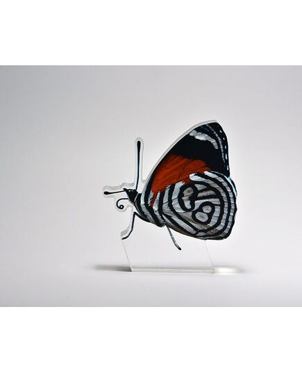 Διακοσμητική Πεταλούδα Butterfly 88